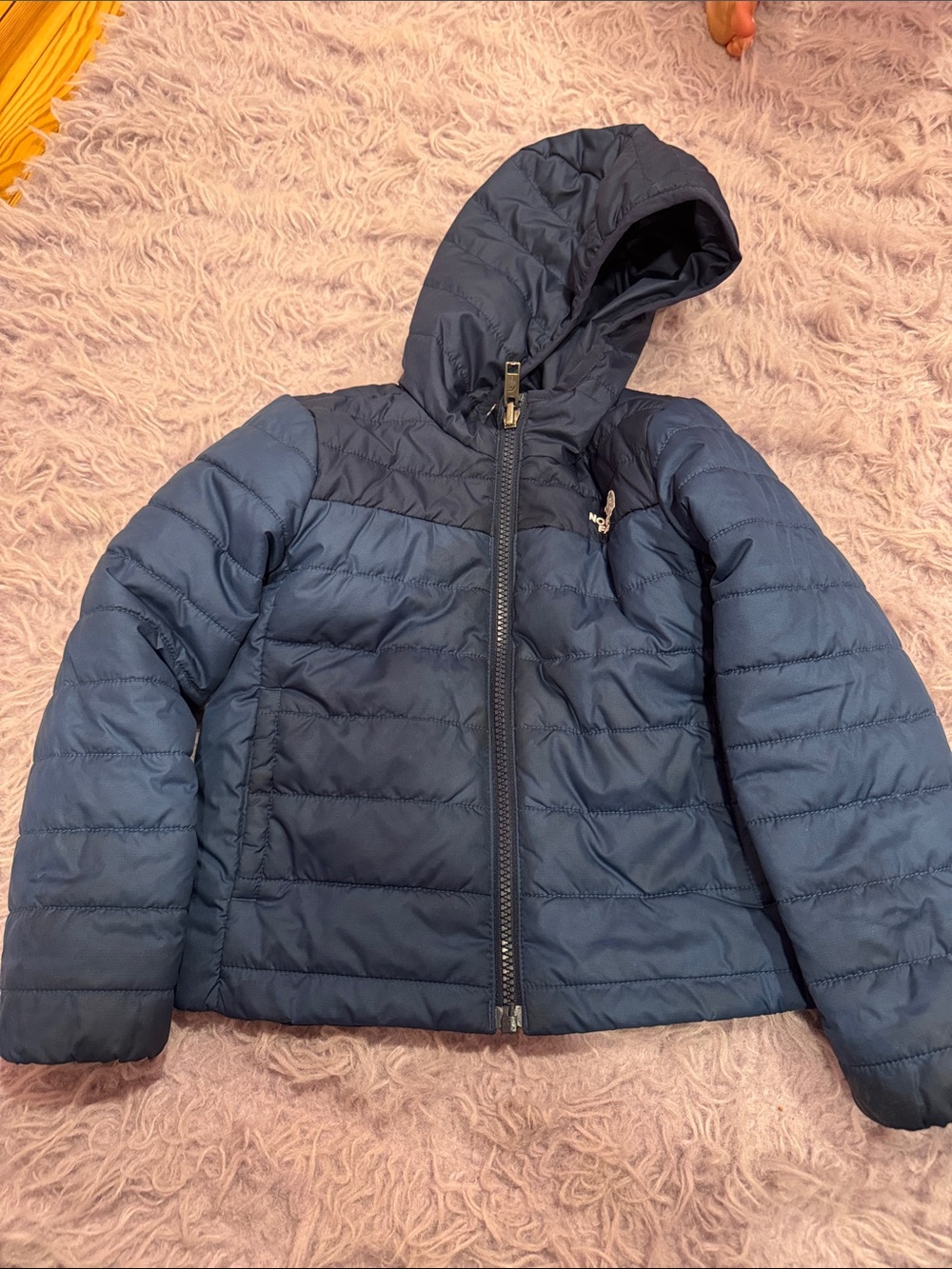 The North Face Kids Navy Hooded Puffer Jacket